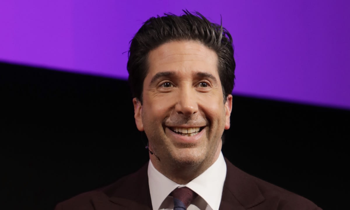 David Schwimmer surprises former co-star Gwyneth Paltrow during TV reappearance