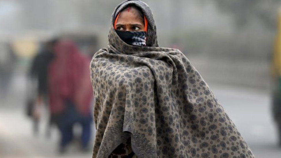 Delhi winter: Cold wave and fog cause chaos in northern India