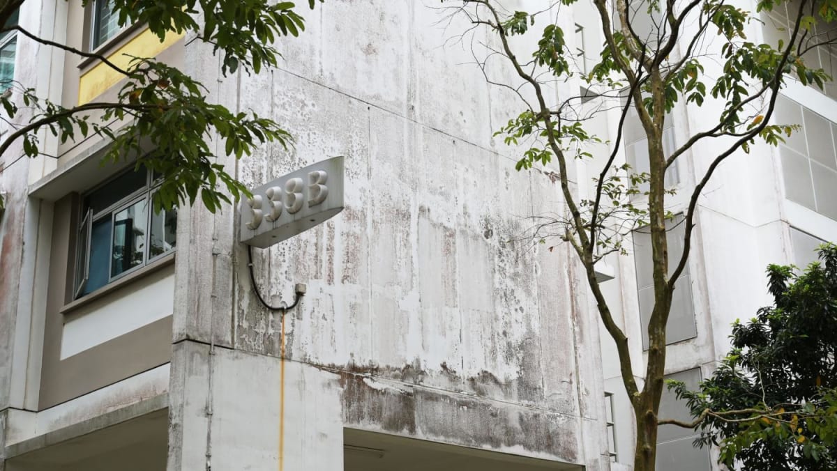 Mould-stained Sengkang flats: All new HDB blocks painted with algae-resistant paint, says HDB