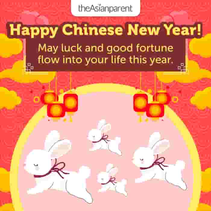 chinese new year funny facts