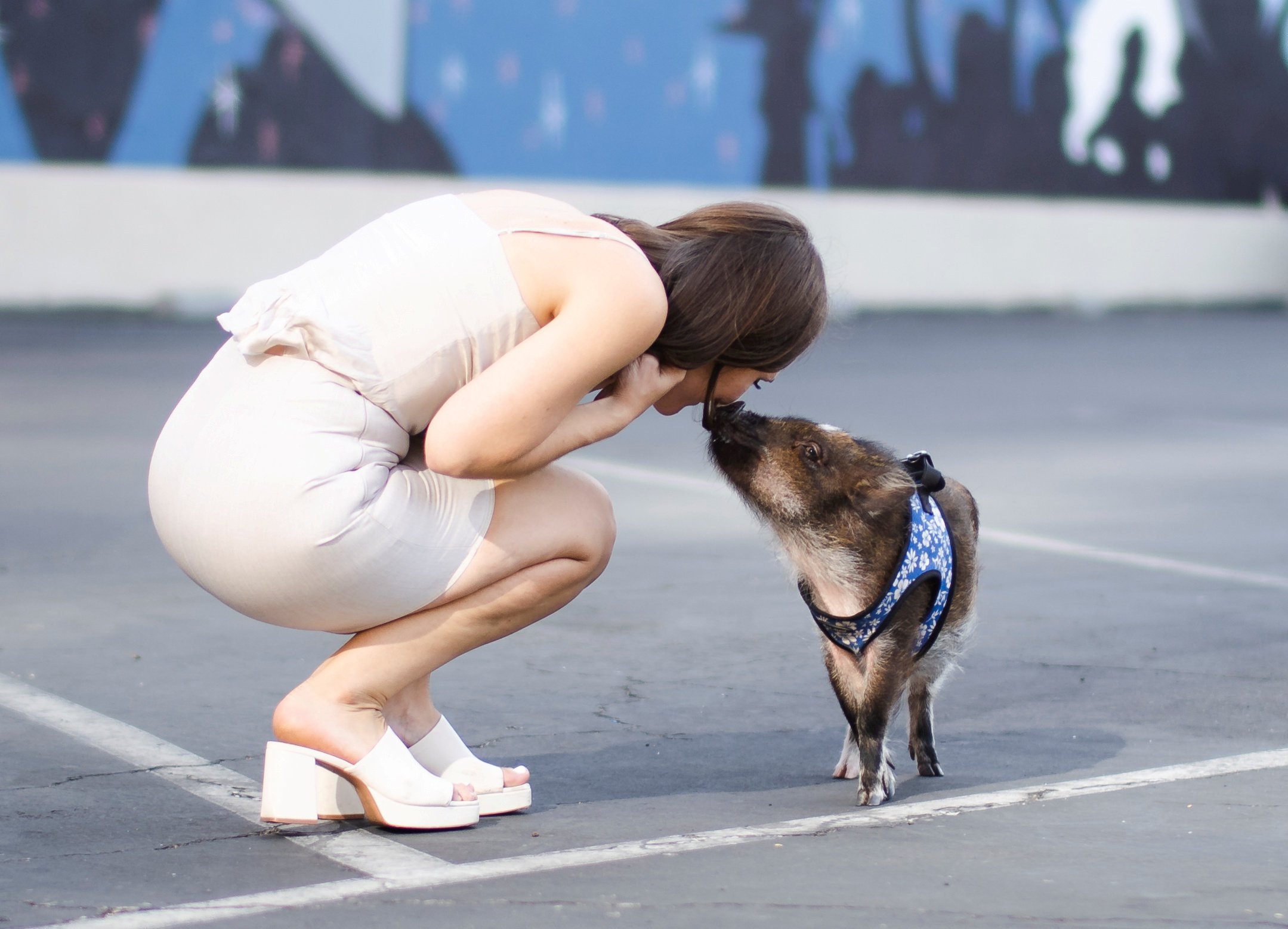 Woman trains pampered pet pig to ‘speak’ – and even lets him sleep in her bed