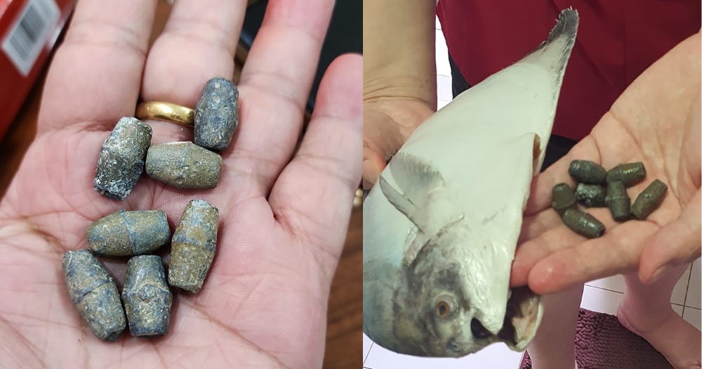 Woman finds 7 lead weights inside fish from Punggol Sheng Siong supermarket