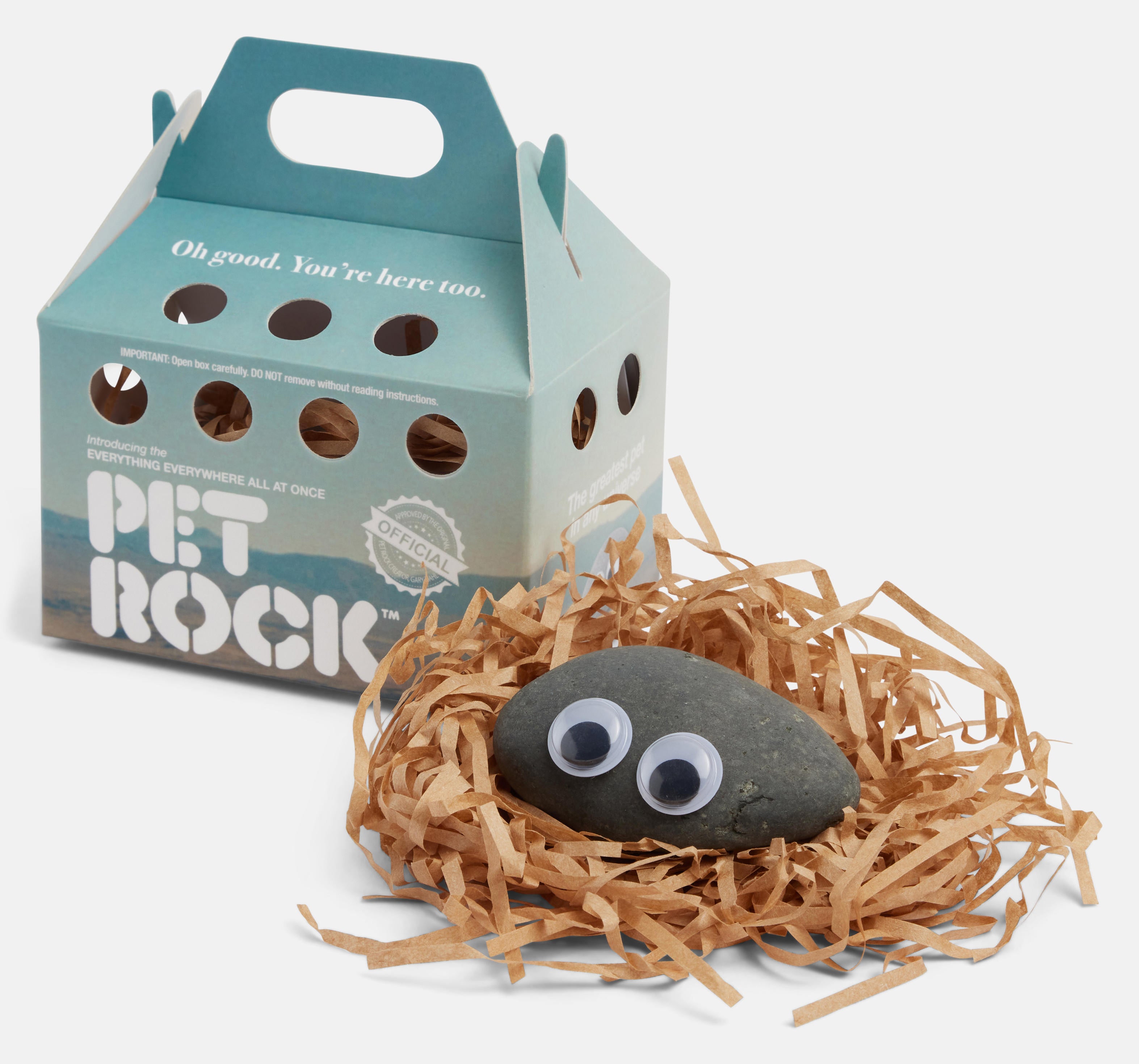 Everything Everywhere All at Once Now Selling Official Pet Rocks