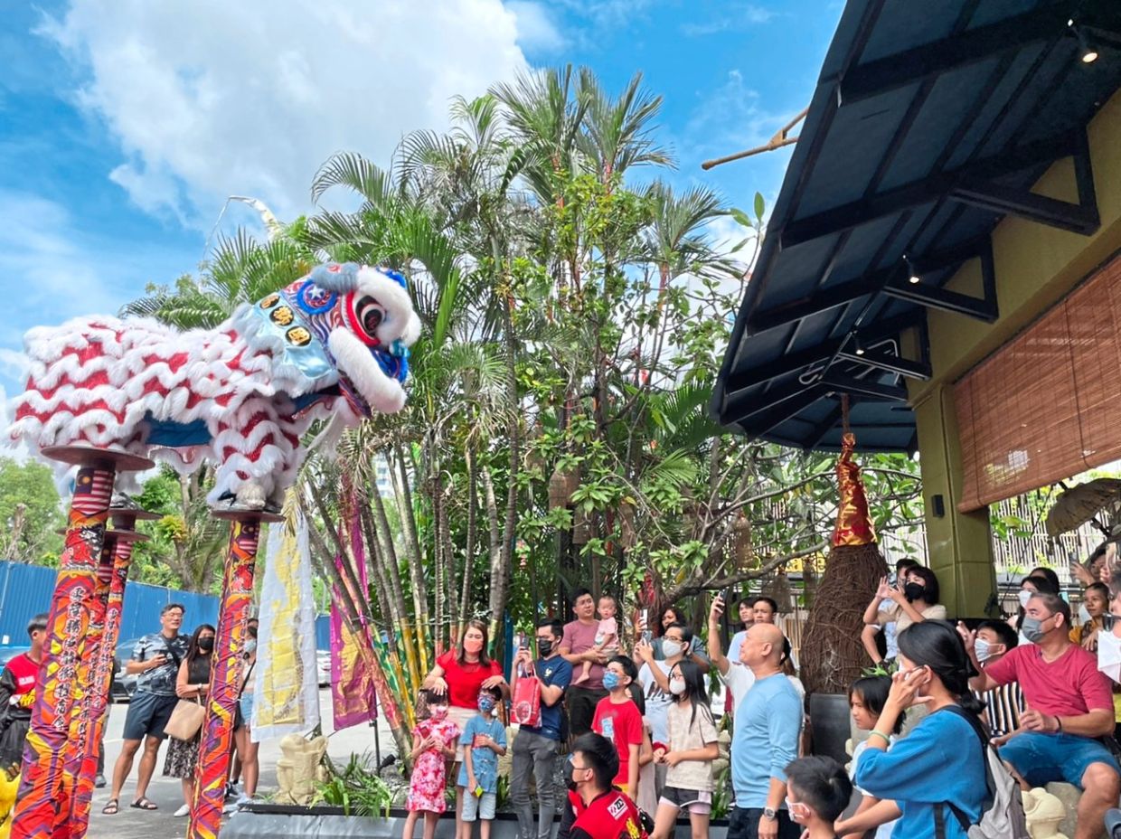 Lion dances bring fun and funds