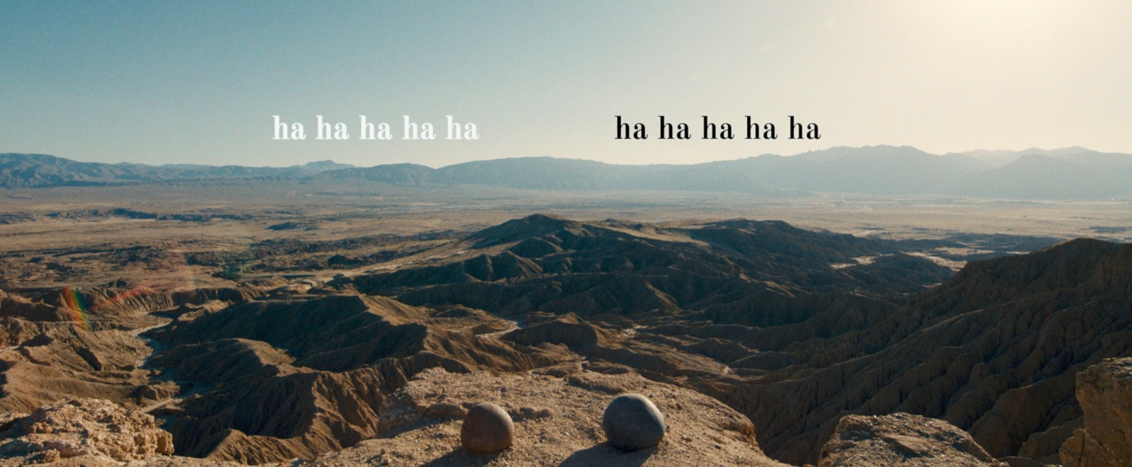 A24 Is Selling An ‘Everything Everywhere All At Once’ Pet Rock To Celebrate The Film’s Oscar Nominations