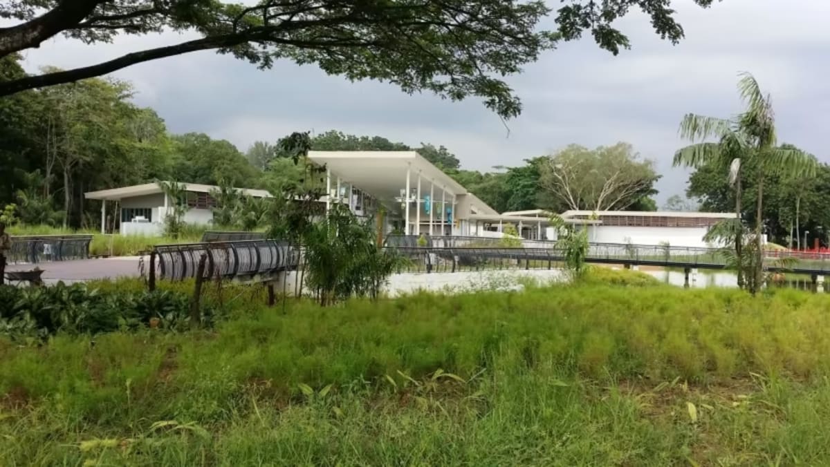 Parts of Sungei Buloh Wetland Reserve to be temporarily closed after man and 2-year-old daughter fell into hole in bridge