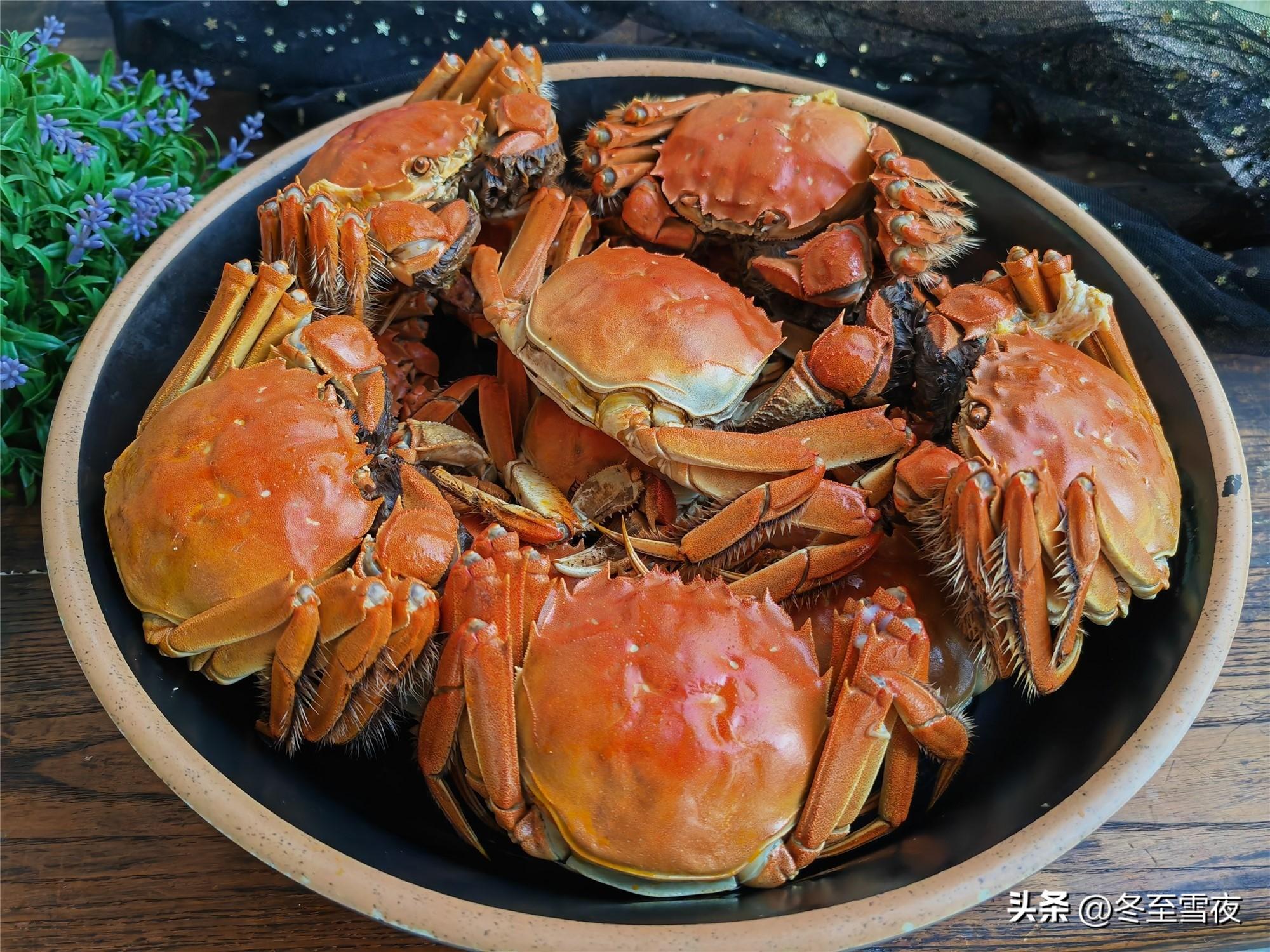元旦新年家宴，自己做了12个家常菜，下酒菜多，你喜欢吗？