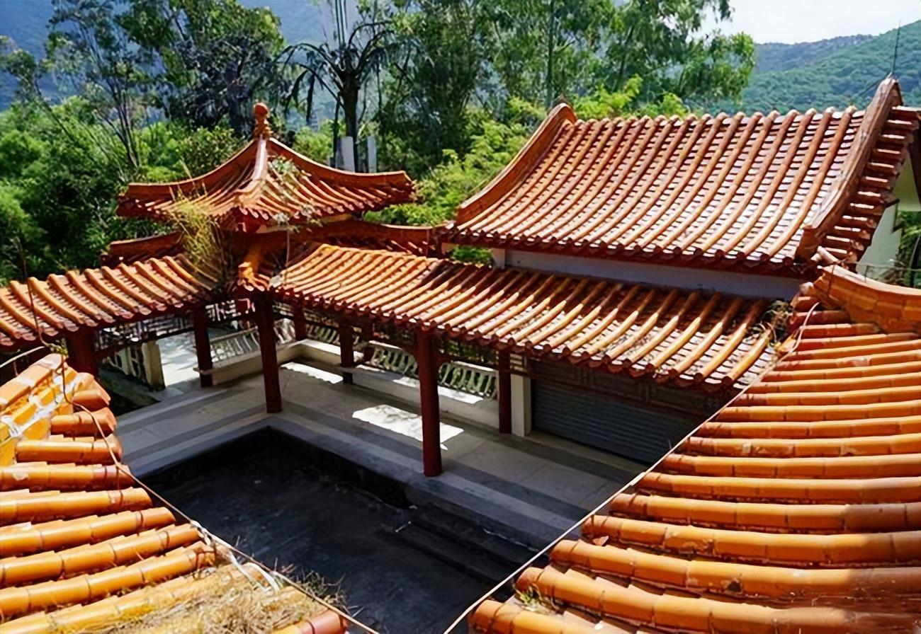 仙湖植物园，化石森林——深圳行（14）