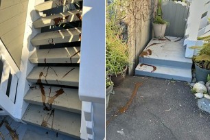 Feces smeared all over home of Laguna Beach City Manager Shohreh Dupuis