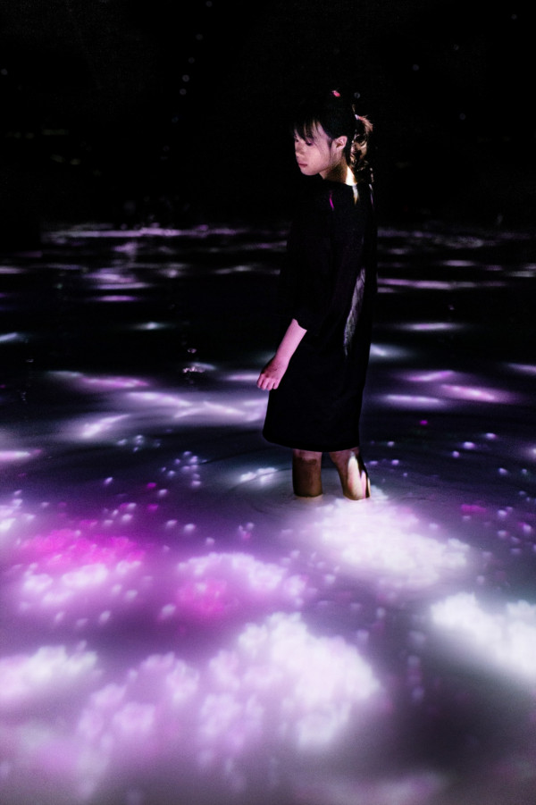 东京teamLab3月春季限定樱花展 2大巨型互动作品 走进樱花梦幻世界