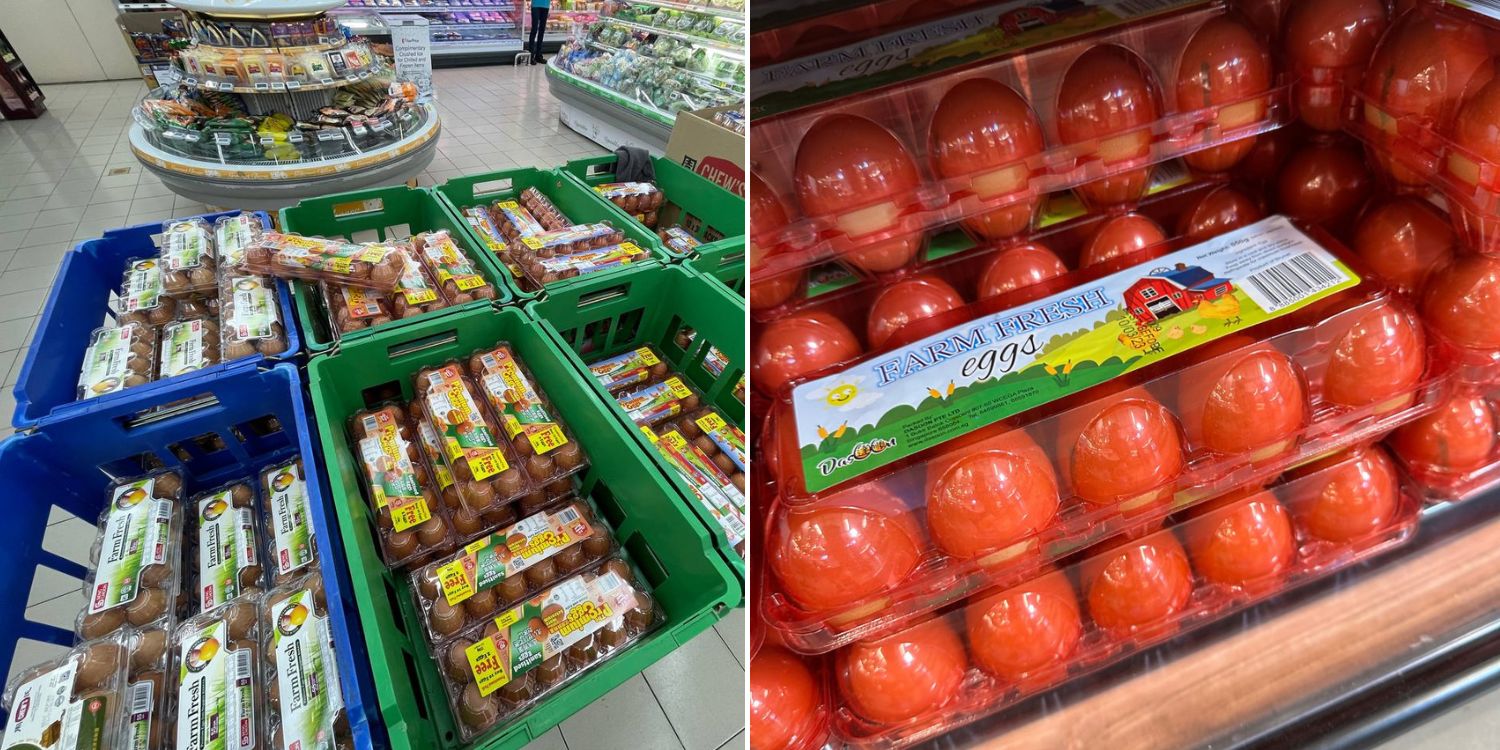 Fairprice now selling eggs from Brunei at s$3.20/Pack, new source to enhance food security