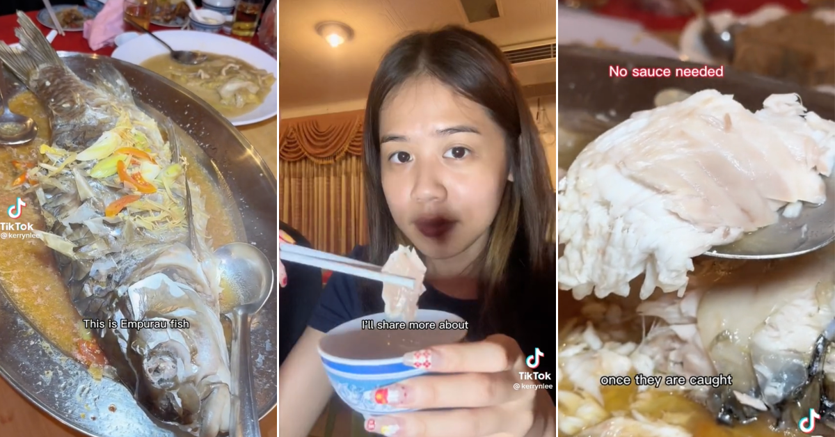 TikToker Eats RM3,000 River Fish From Sarawak & Malaysians Have Mixed Feelings About It