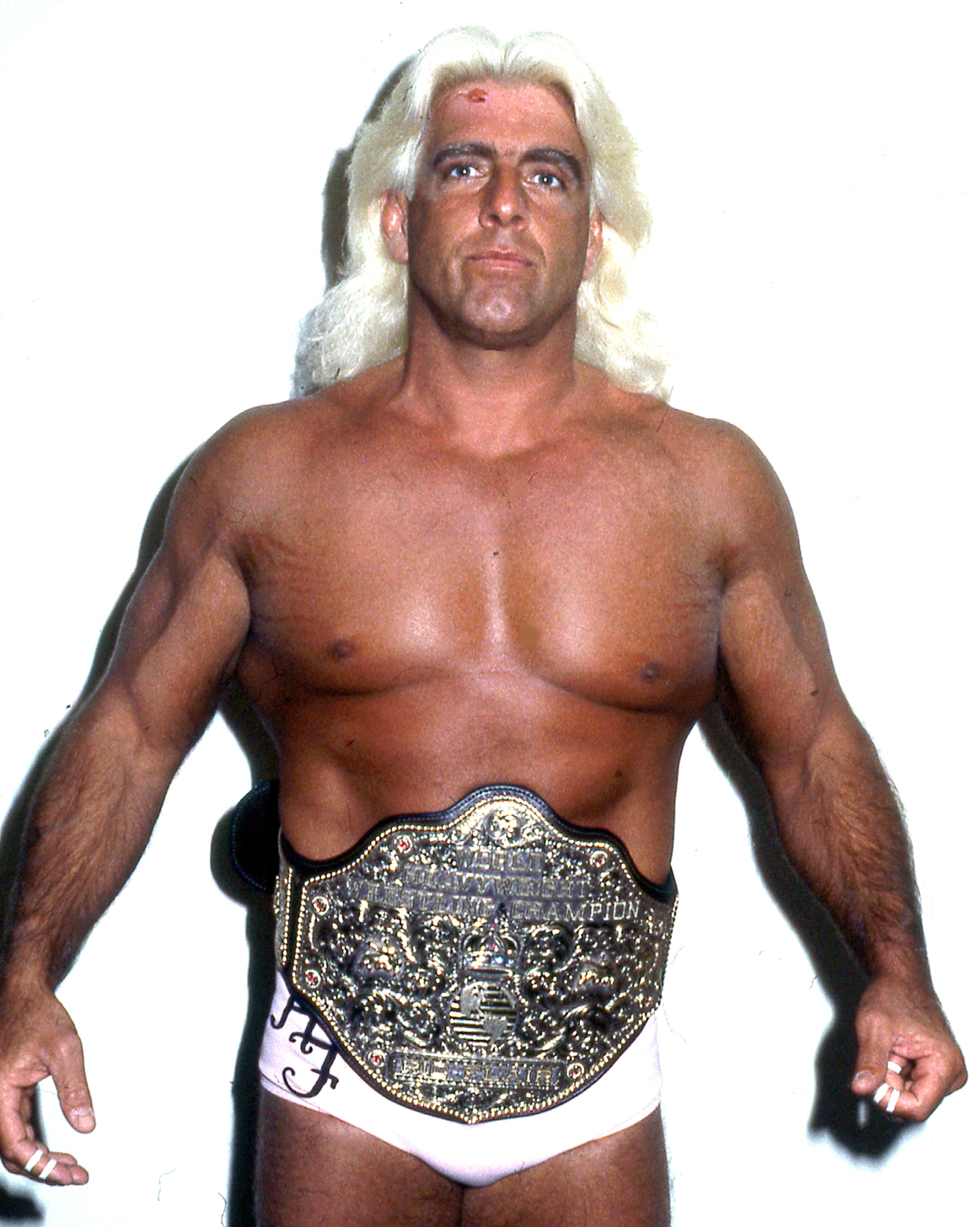 Ric Flair has earned $700,000 doing Cameo clips
