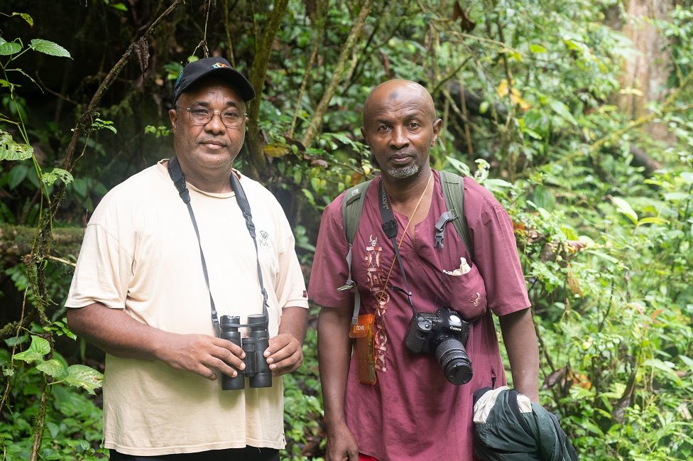 Dusky tetraka: Joy as bird feared extinct spotted in Madagascar