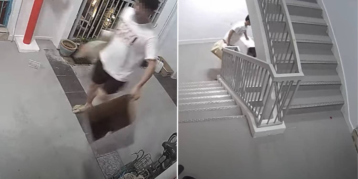 Man lifts box with cat inside & tilts it over at HDB staircase, animal lovers outraged