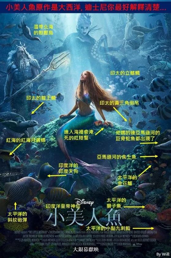 9成海洋生物是“外来种”！“The Little Mermaid”真人版电影海报惹议