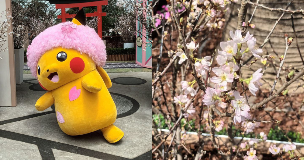 Sakura display returns to Gardens by the Bay till Apr. 9, features special edition Pikachu