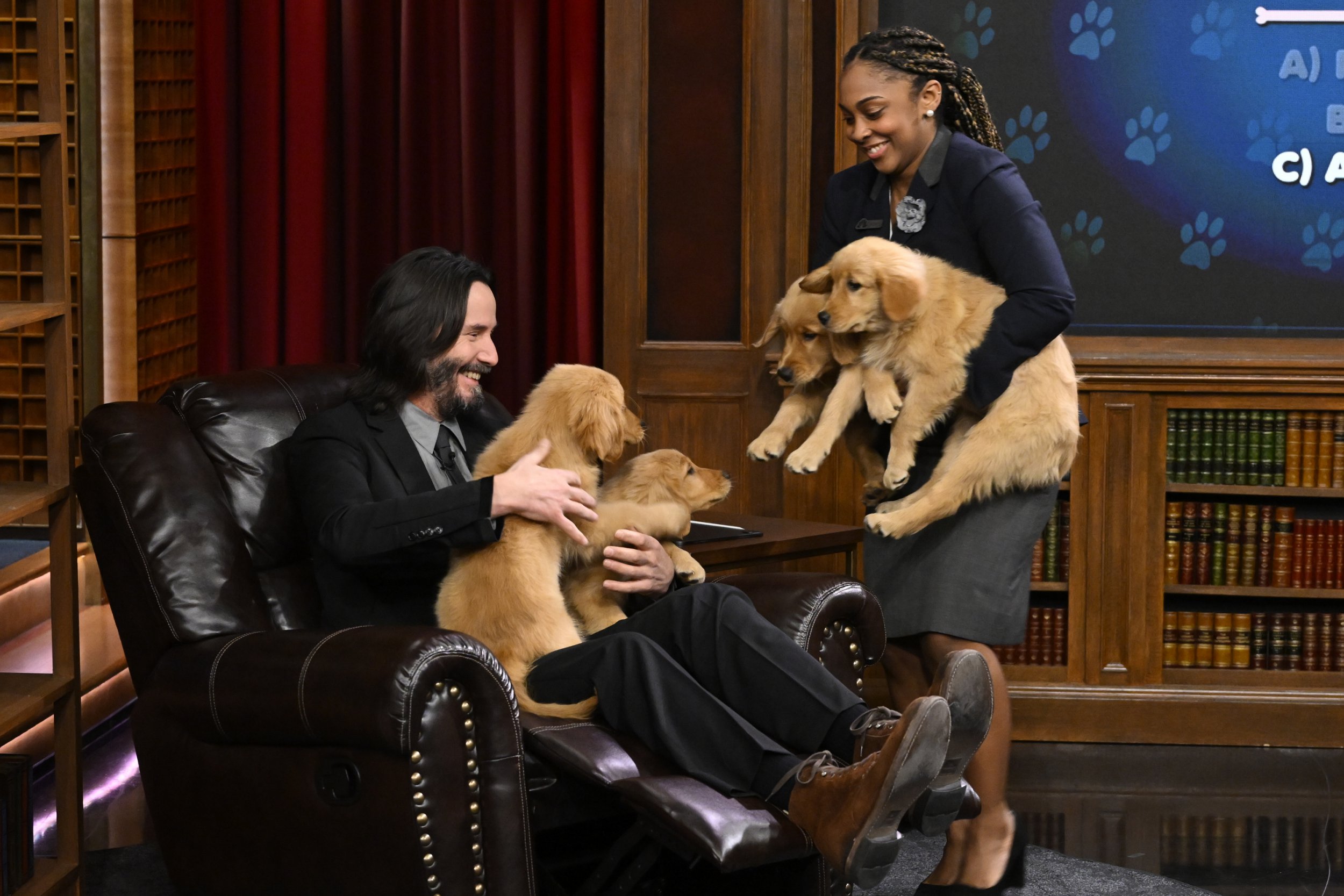 Keanu Reeves surrounded by puppies during quiz game against Jimmy Fallon