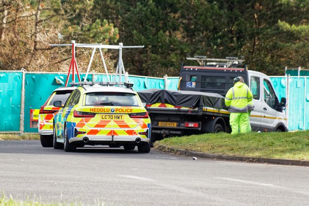 Cardiff crash victims identified by mums after bodies lay undiscovered for 2 days