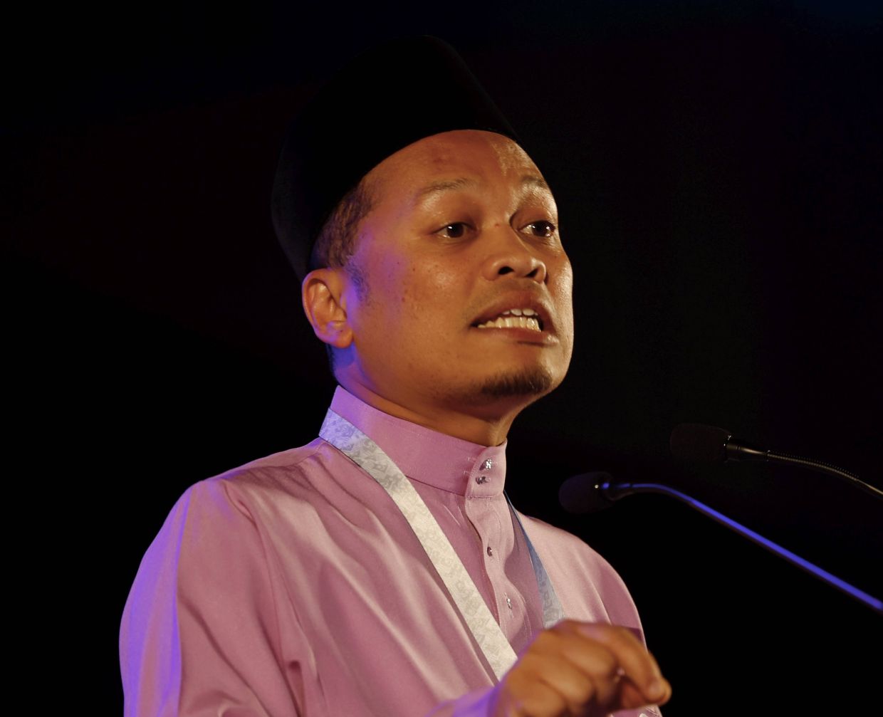 Parts of Bukit Dinding park to be gazetted as forest reserves, says Nik Nazmi