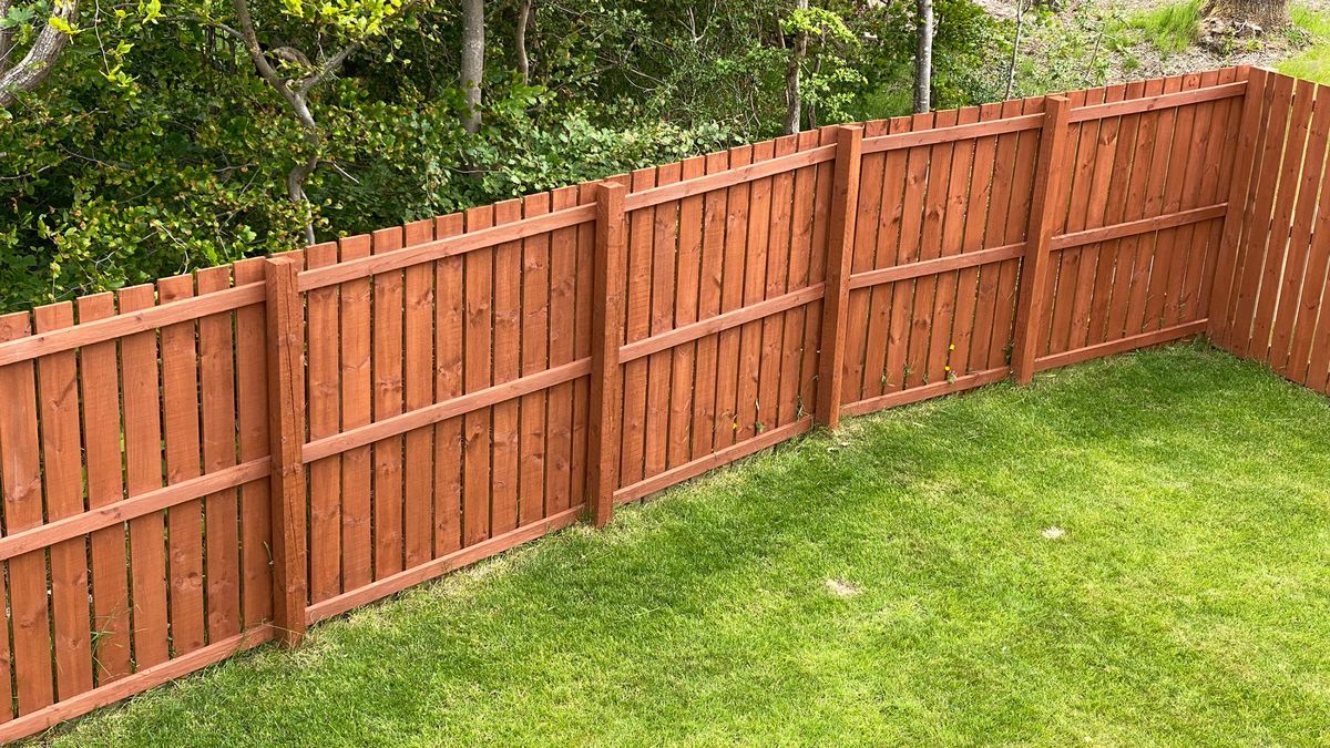 'My neighbour's charging me £3,000 for a fence I never wanted - it's appalling'