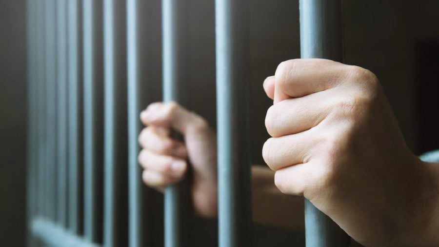 Suaram calls for immediate release of book editor