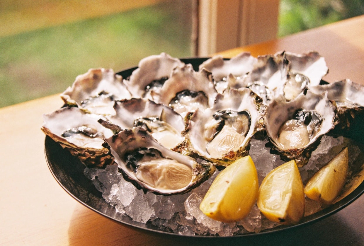 GF SAYS BF IS CHILDISH FOR PLAYING POKEMON, TELLS HIM TO PLAY HER OYSTER