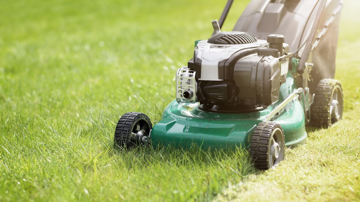 'My neighbour 'accidentally' mowed my lawn and now wants money for it - it's so cheeky'