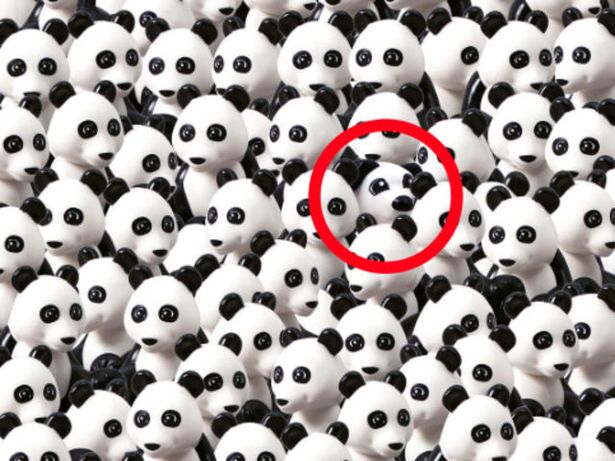 Only those with 'extraordinary intelligence' can find dog among pandas in seven seconds