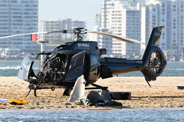 SeaWorld helicopter crash pilot reveals what happened moments before deadly collision