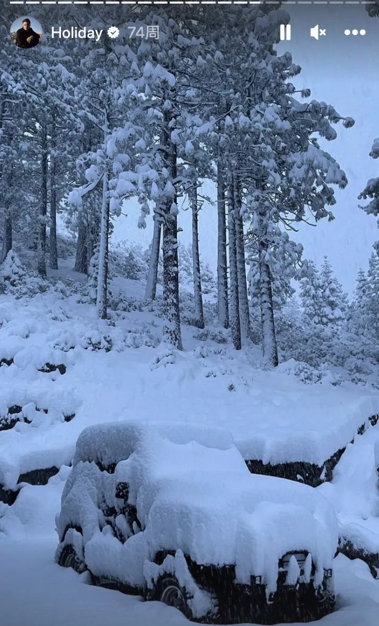 鹰眼被铲雪车碾压骨折30处，2个月后已能直立"走路"，恢复真快（组图）