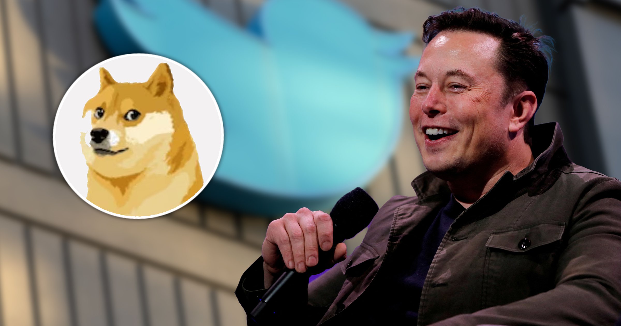 Elon Musk changes Twitter’s logo to viral Doge meme