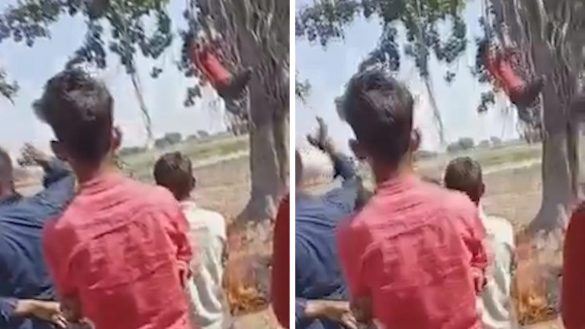 Thief is tied to tree and hung over fire as punishment for crime