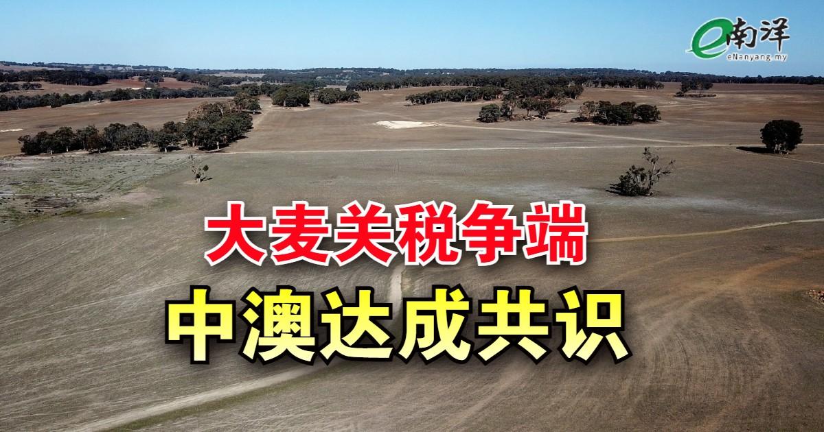 大麦关税争端 中澳达成共识
