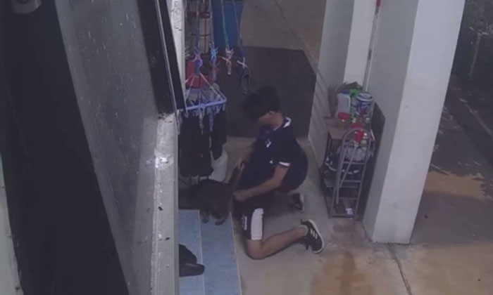 Teen who was caught humping cat at Bukit Panjang arrested