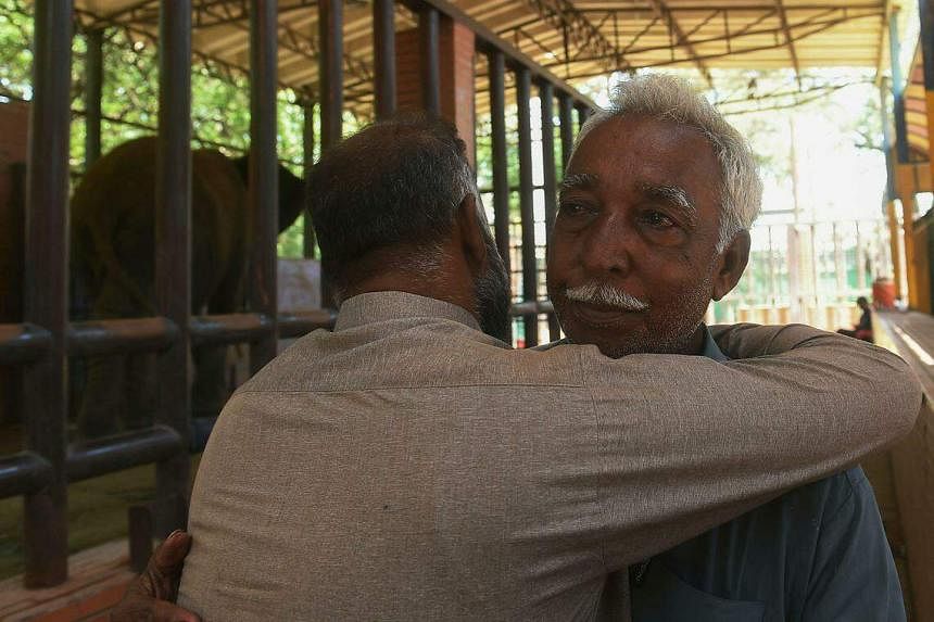 Ailing Pakistan elephant dies, leaving 'mourning' partner in limbo