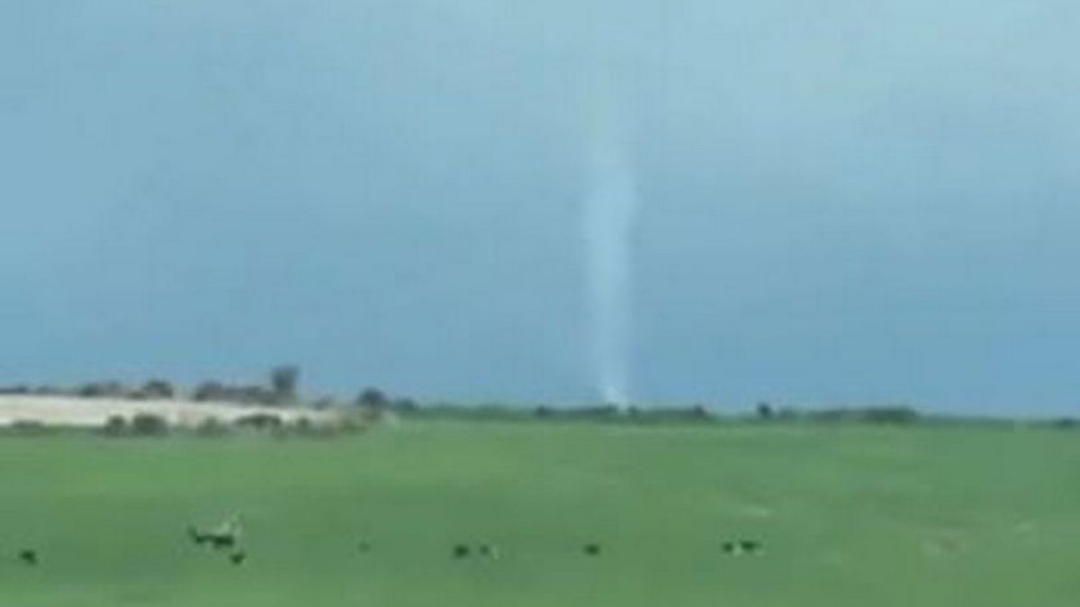 Moment 'mini tornado' hits farm sending terrified cows running to safety