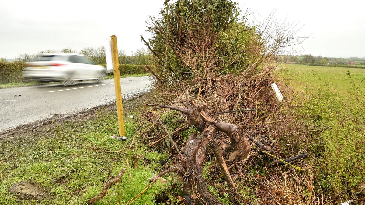 Three teens killed in horror crash named as school pays tribute to 'remarkable' pupils