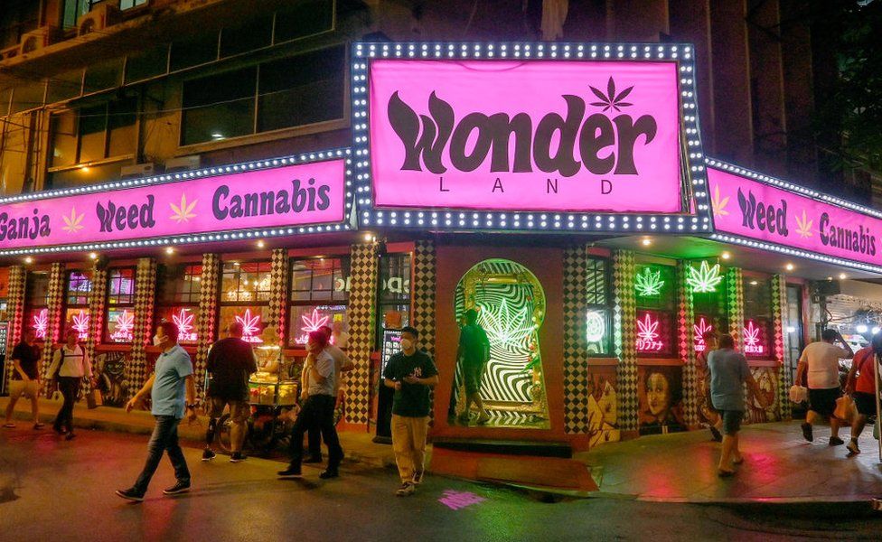 Thailand: Southeast Asia's 'weed wonderland'