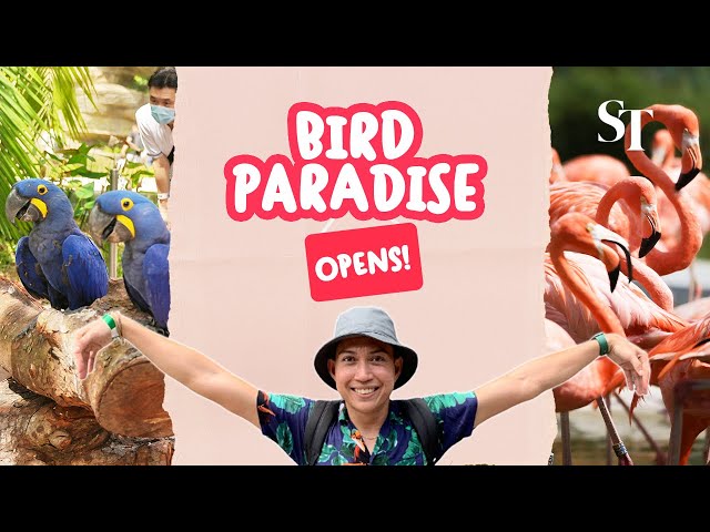 Mandai’s Bird Paradise welcomes its first visitors