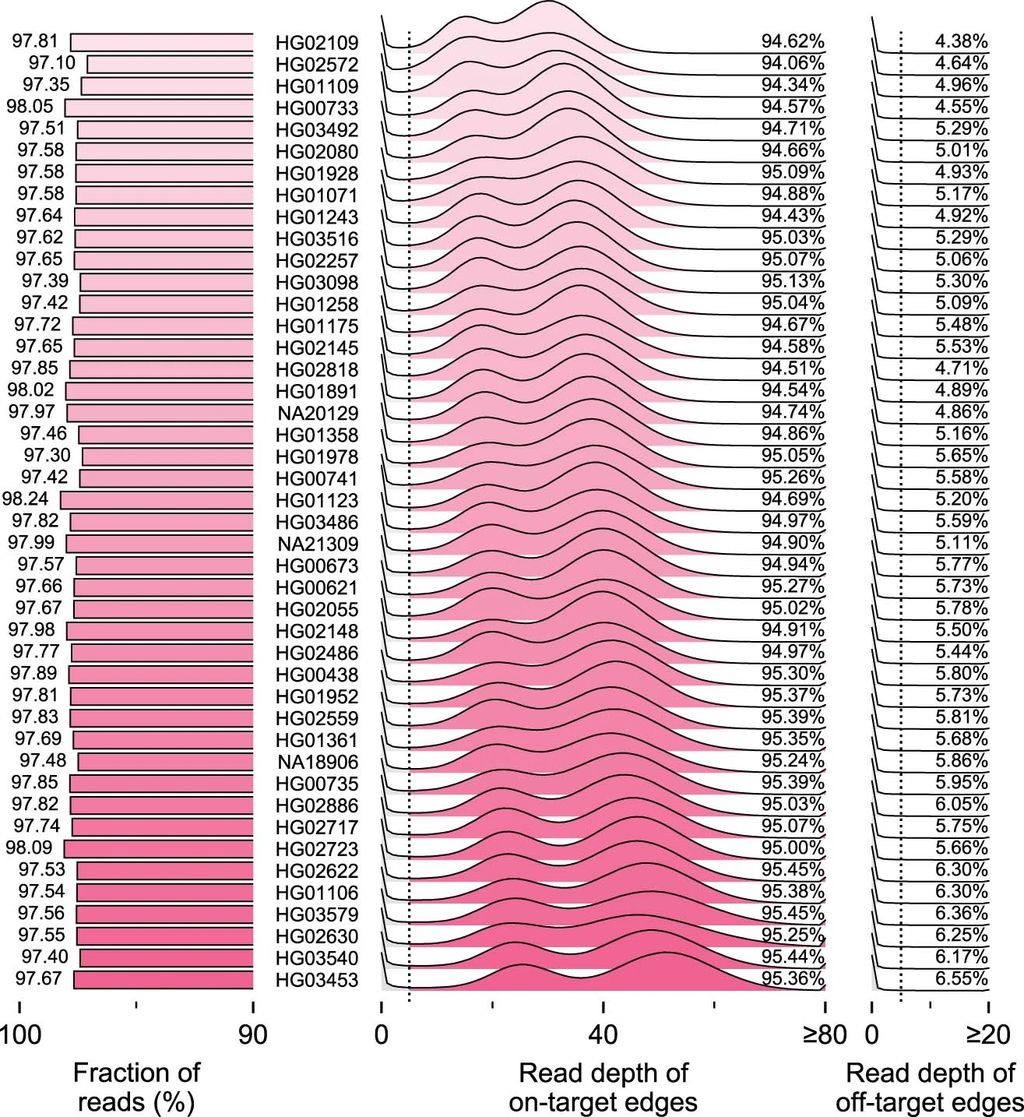 人类泛基因组图谱发布：增加 1.19 亿个碱基对