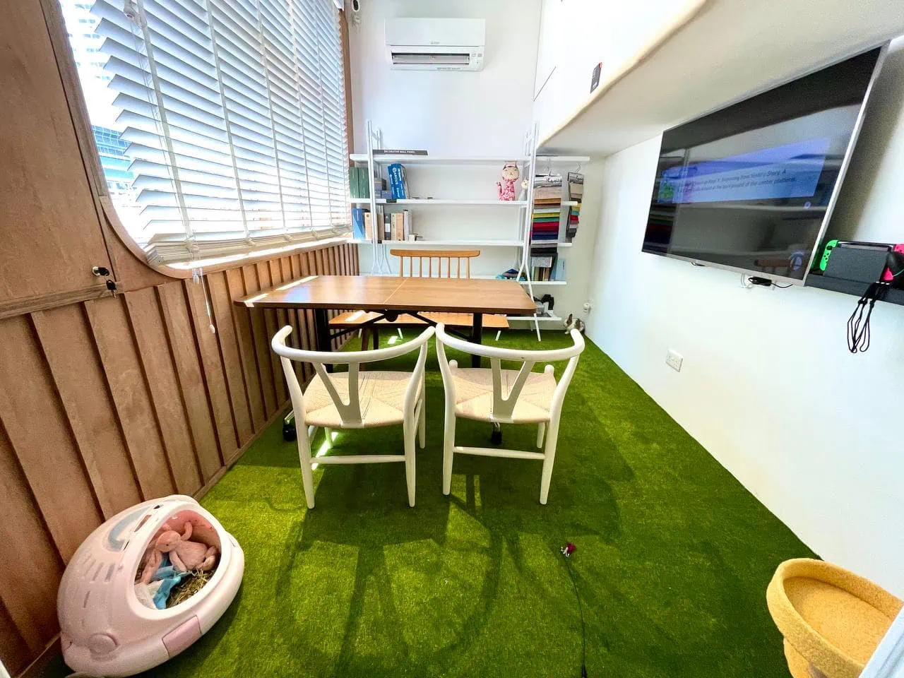 Play with kittens, sing karaoke and more while you work at Singapore’s first-ever cat-friendly co-working space