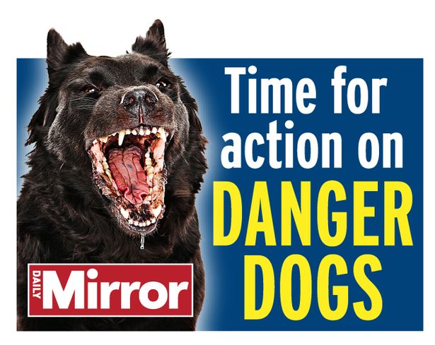 XL Bully sellers trying to flog dogs on Gumtree at knockdown prices as ban looms