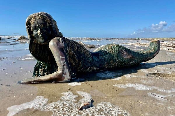 An Auction of Prosthetics, Mermaids and Creepy Dolls to Benefit Sea Turtles