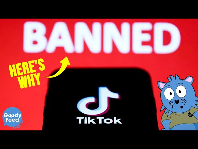 TikTok Might Be Banned in Singapore in the Future