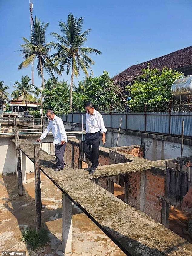 Farmer, 72, is ripped apart and killed by FORTY crocodiles after falling into their enclosure