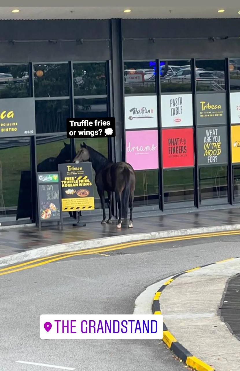 Horse-riding Teens Spotted Getting Food at McDonald’s Drive-Through