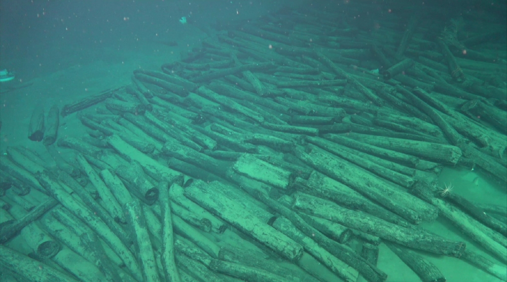 Ancient 500-year-old shipwreck filled with porcelain treasure found in South China Sea (VIDEO)