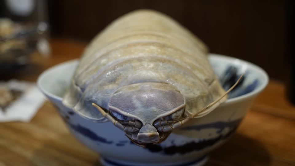 Giant isopod noodles tempt brave Taipei diners