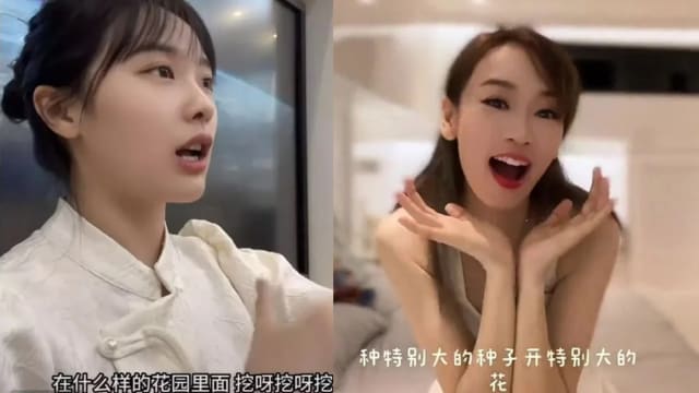杨思琦模仿“挖呀挖呀挖”　网民大喊“受不了”！